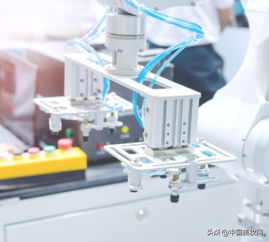 全國首部地方性化妝品法規(guī)出臺 品牌如何在法規(guī)背景下選擇優(yōu)質(zhì)寵物用品工廠